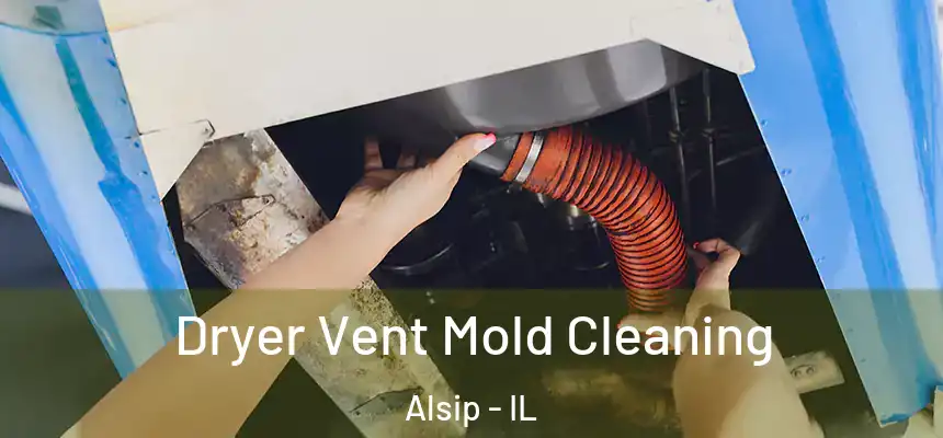 Dryer Vent Mold Cleaning Alsip - IL