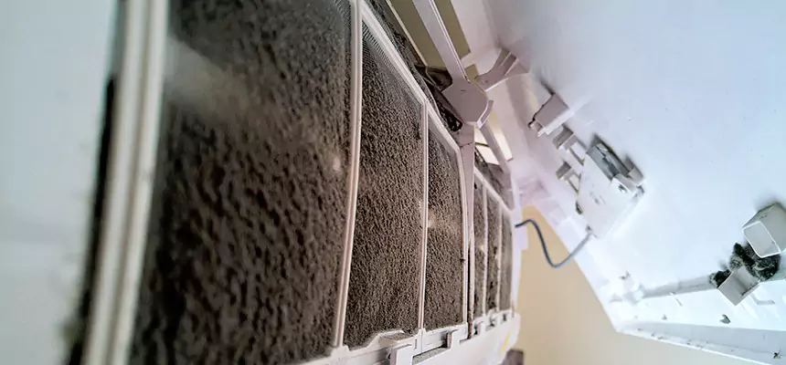 Preventive Air Duct Bacteria Removal in Alsip