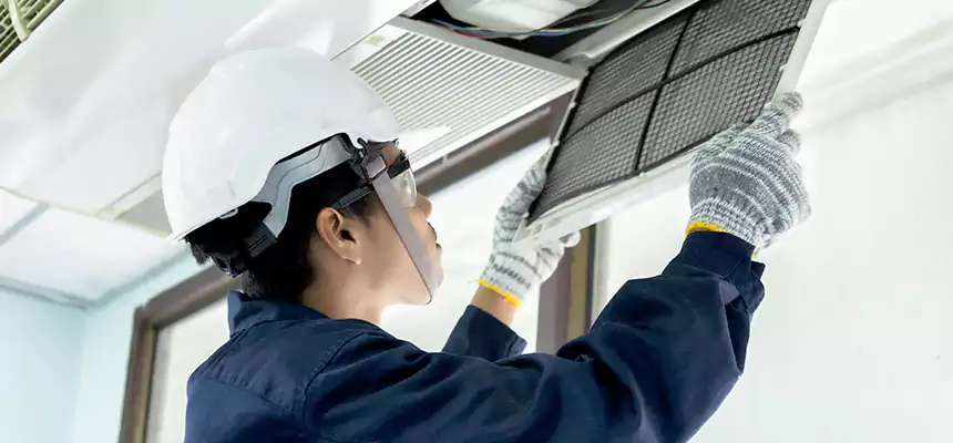 Our Mold & Mildew Removal from Air Ducts Services in Alsip, IL