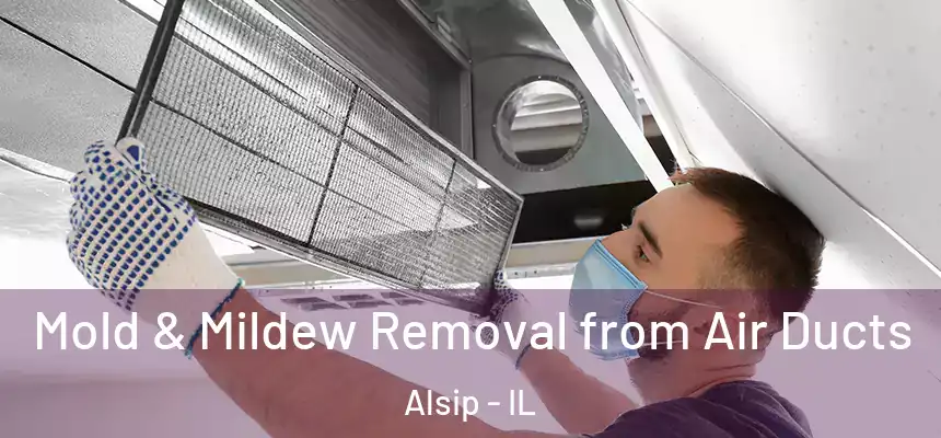  Mold & Mildew Removal from Air Ducts Alsip - IL