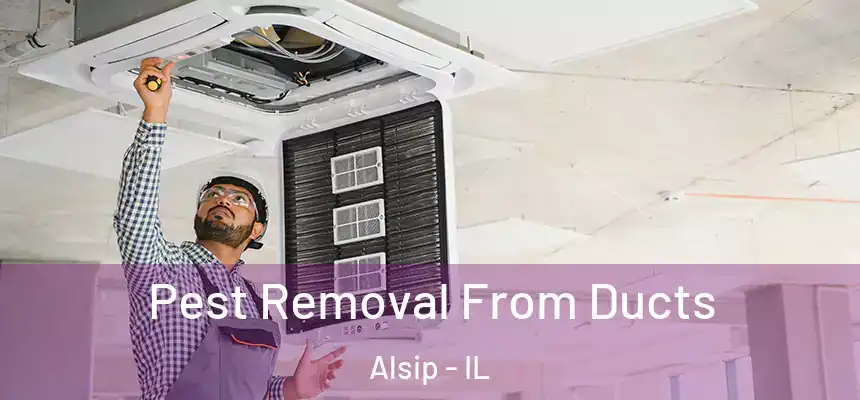 Pest Removal From Ducts Alsip - IL
