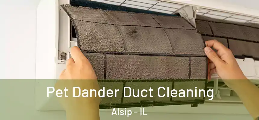 Pet Dander Duct Cleaning Alsip - IL
