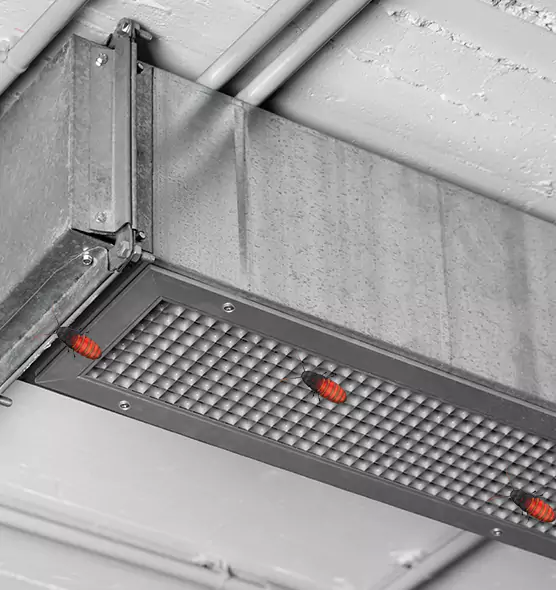 About Air Duct Cockroach Removal in Alsip, IL