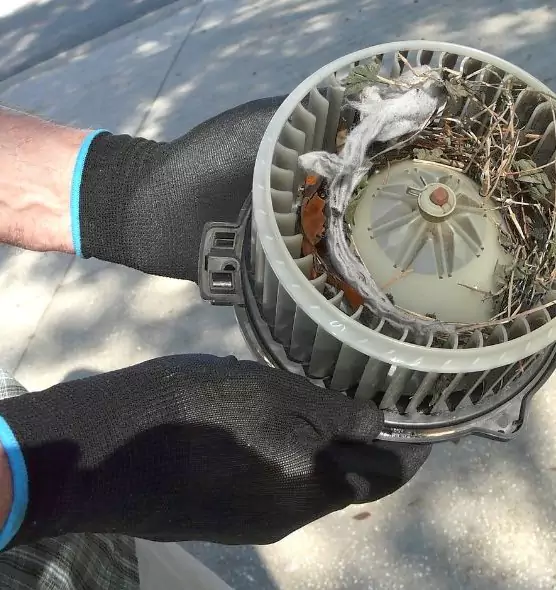 About Air Duct Mice Removal in Alsip, IL